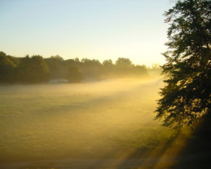 View over Wimbledon Common
